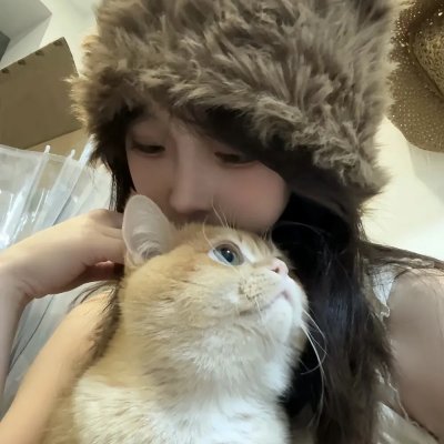 我私人的爱达荷